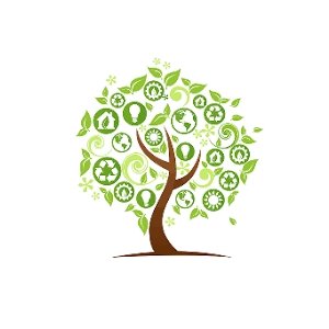ECO Club